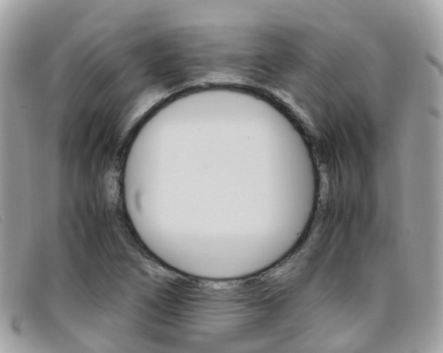 X0000095911266200801110819