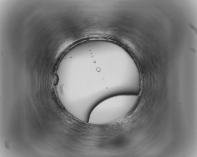 X0000095911267200801110819
