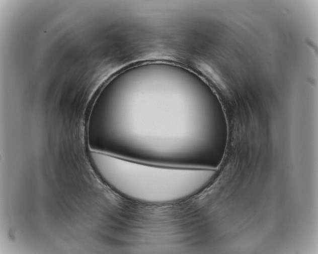 X0000095911268200801110819