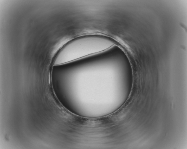 X0000095911269200801110819