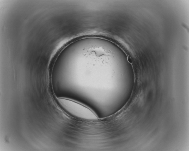 X0000095911270200801110819