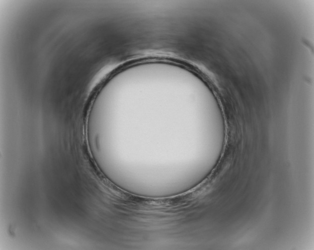 X0000095911271200801110819