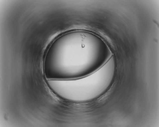 X0000095911272200801110819