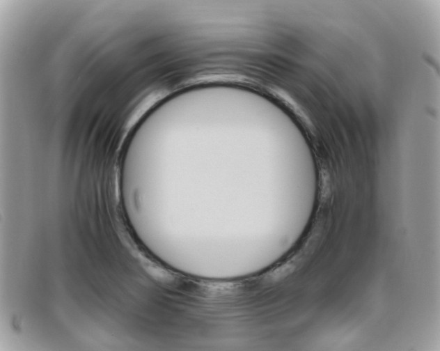 X0000095911274200801110819