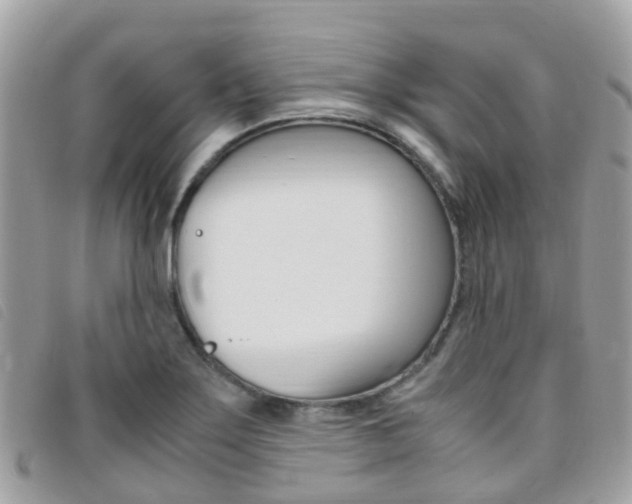 X0000095911275200801110819
