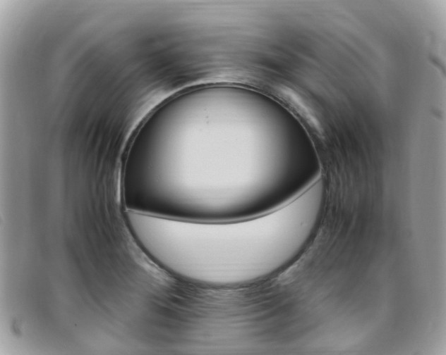 X0000095911276200801110819