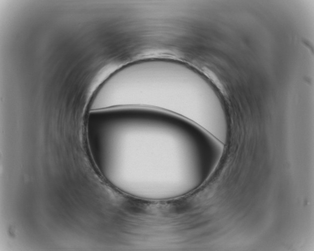 X0000095911277200801110819