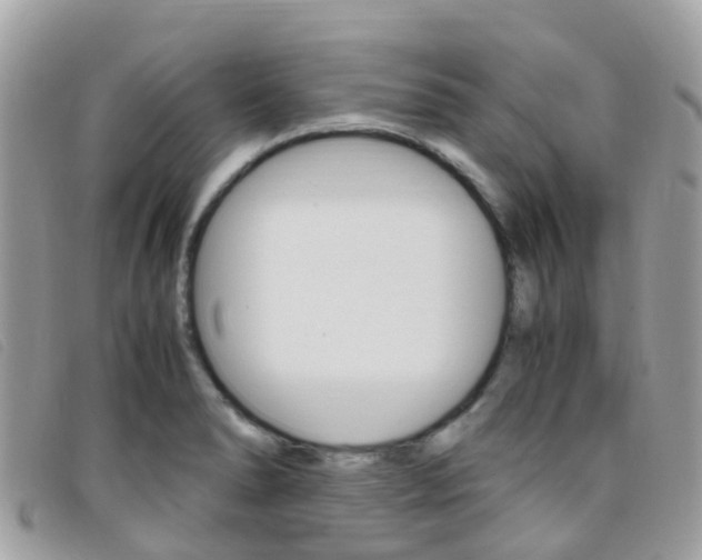 X0000095911278200801110819
