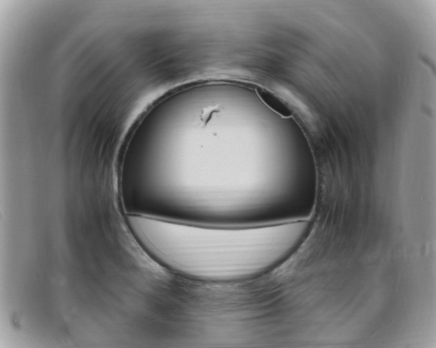 X0000095911280200801110819