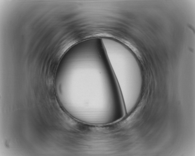 X0000095911281200801110819