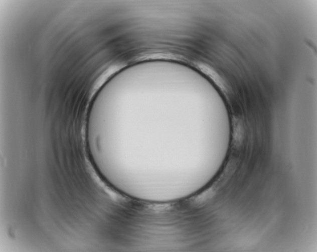 X0000095911282200801110819