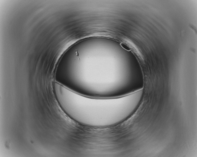 X0000095911284200801110819