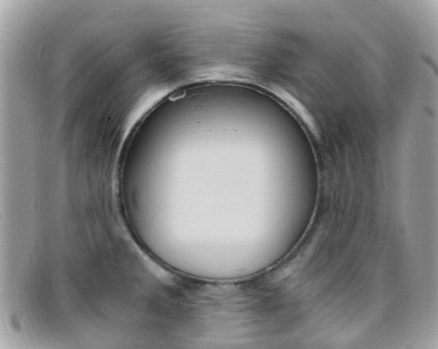 X0000095911285200801110819