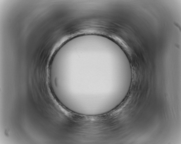 X0000095911286200801110819