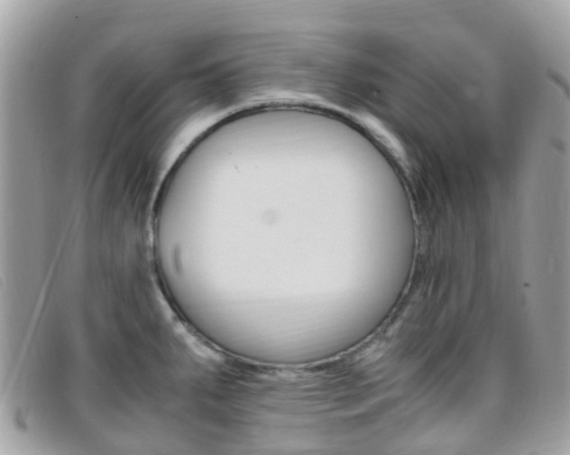 X0000095911287200801110819