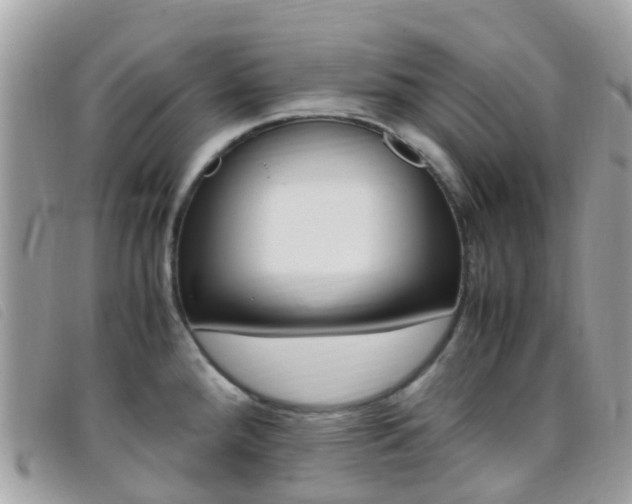 X0000095911288200801110819