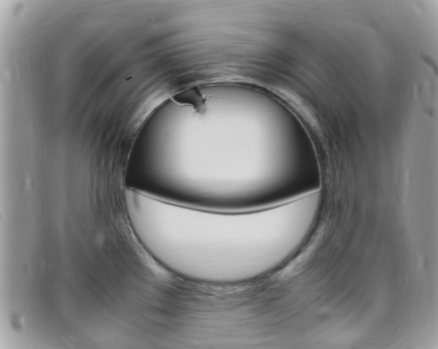 X0000095911289200801110819