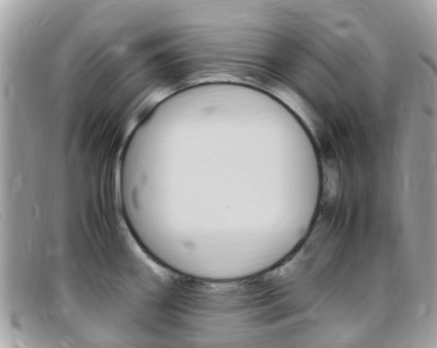 X0000095911290200801110819