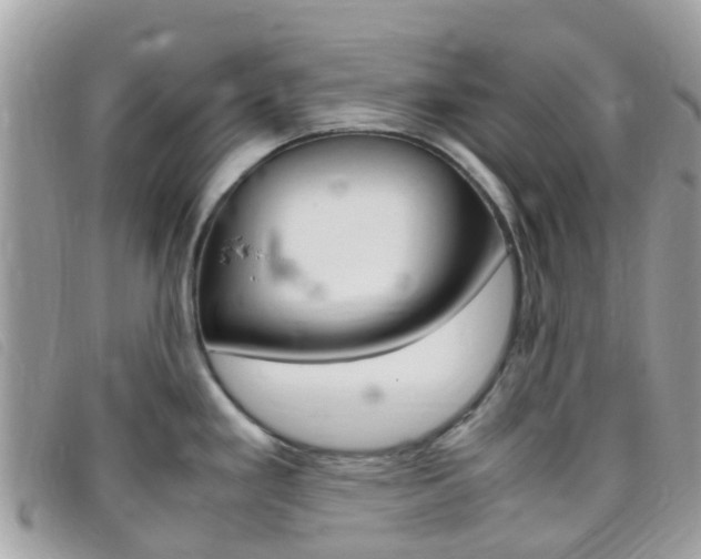 X0000095911293200801110819