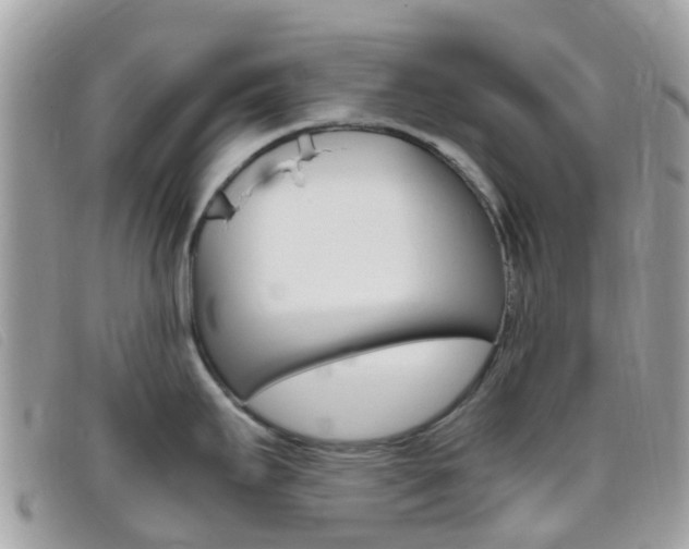 X0000095911295200801110819