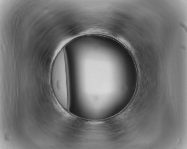 X0000095911296200801110819