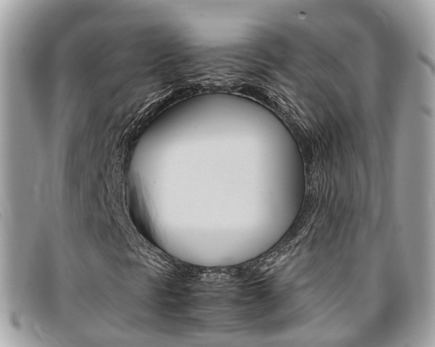 X0000095911297200801110818