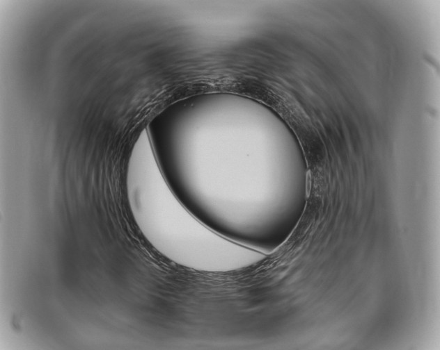 X0000095911298200801110818