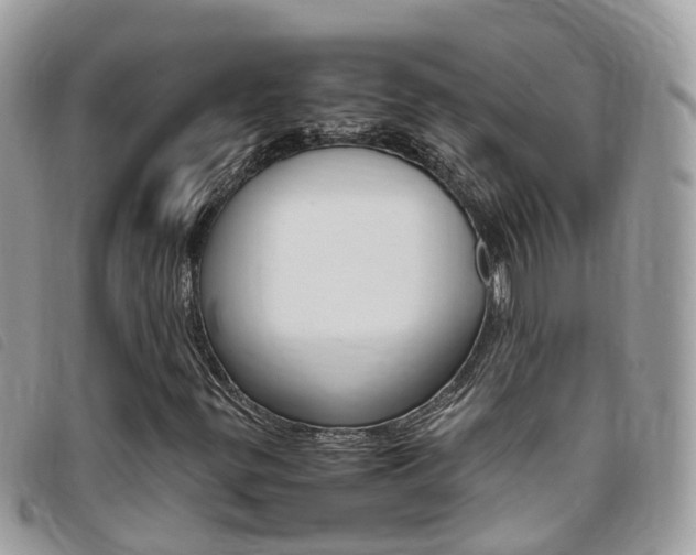 X0000095911299200801110818