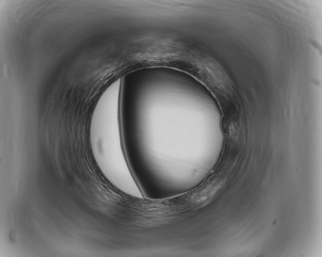 X0000095911300200801110818