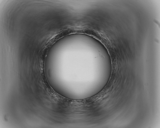 X0000095911301200801110818