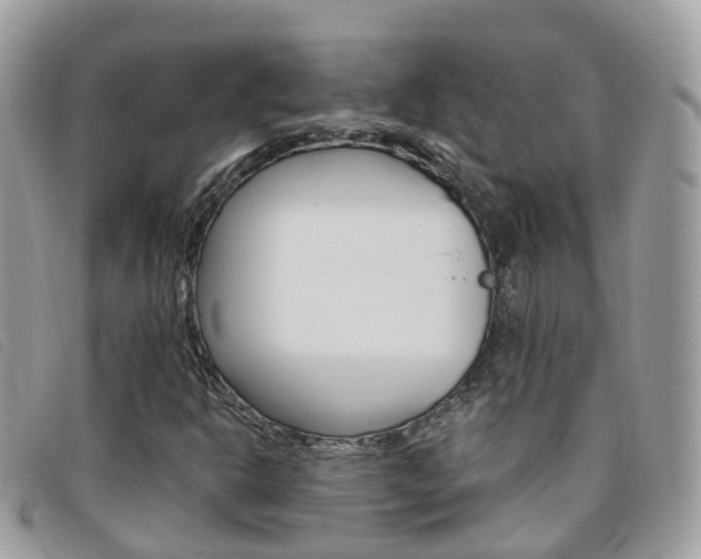 X0000095911302200801110818