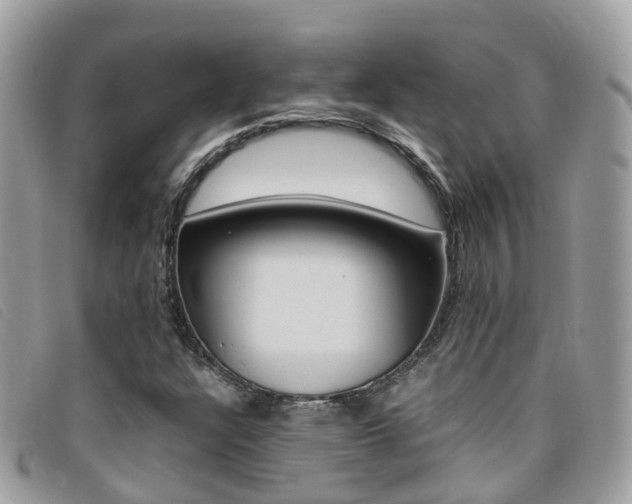 X0000095911304200801110818