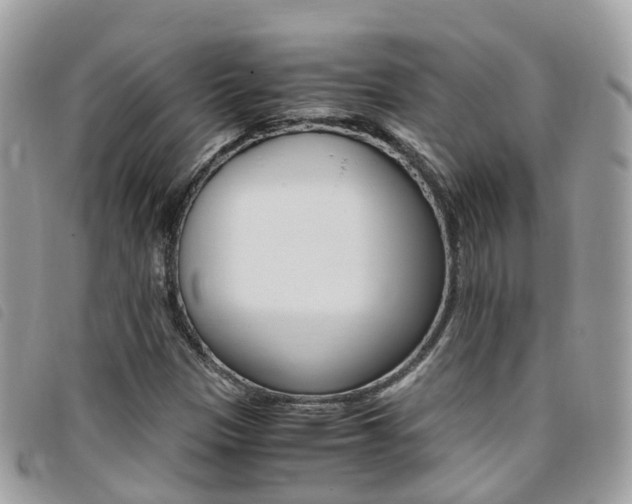 X0000095911305200801110818