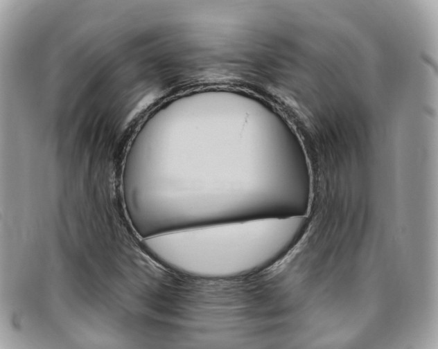 X0000095911306200801110818