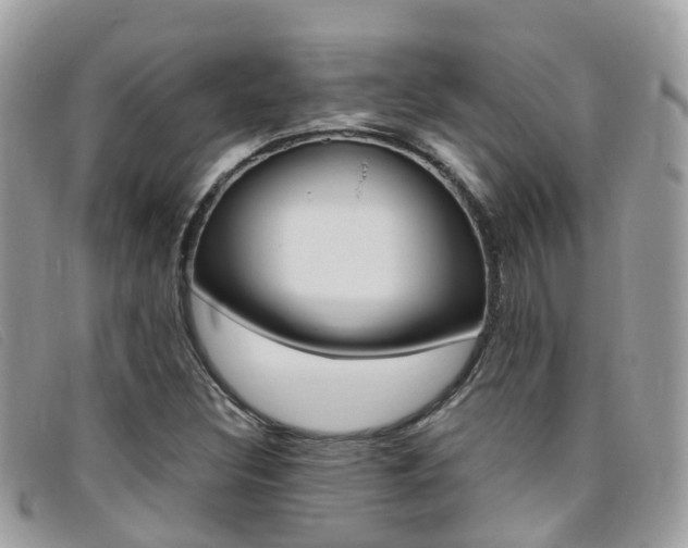 X0000095911308200801110818