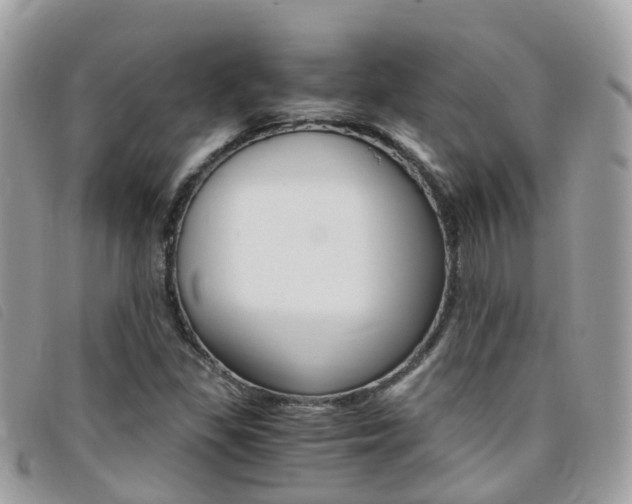 X0000095911309200801110818
