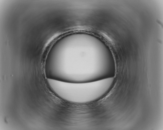 X0000095911310200801110818