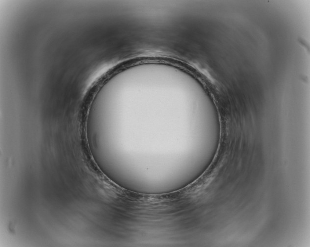 X0000095911311200801110818