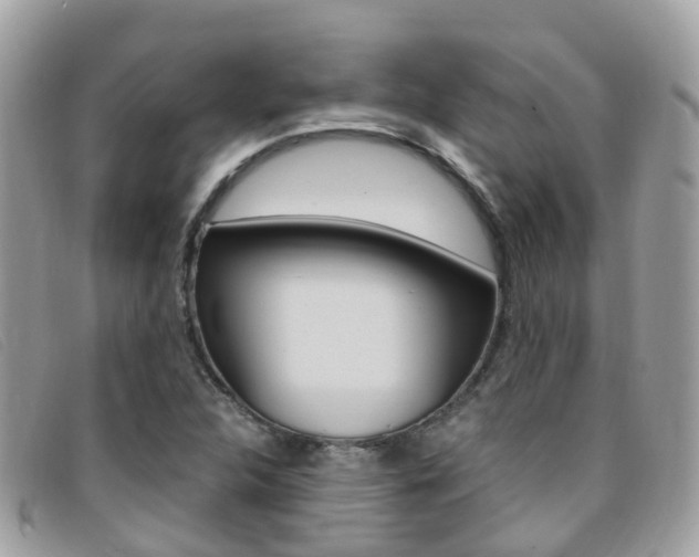 X0000095911312200801110818