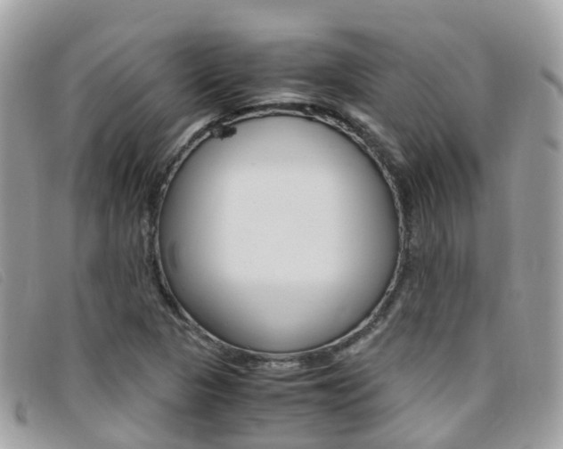 X0000095911313200801110818