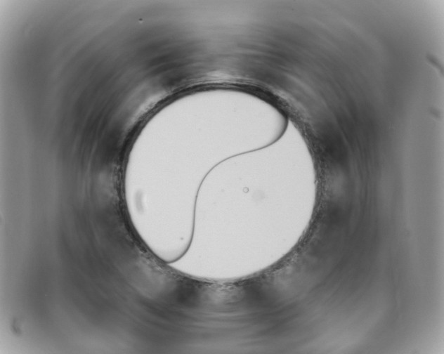X0000095911314200801110818
