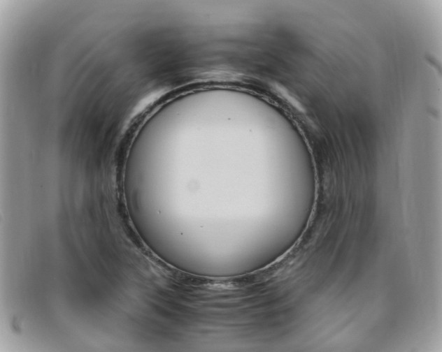 X0000095911315200801110818