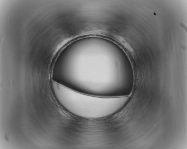 X0000095911316200801110818