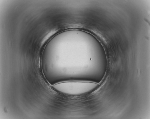 X0000095911317200801110818