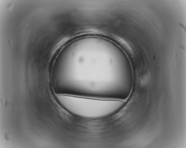 X0000095911318200801110818