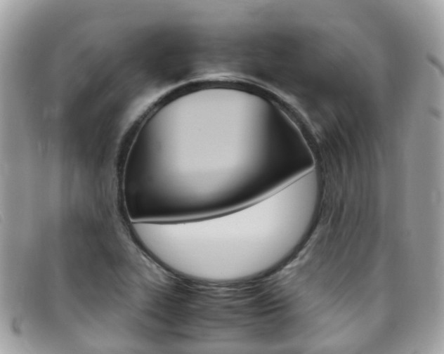 X0000095911319200801110818