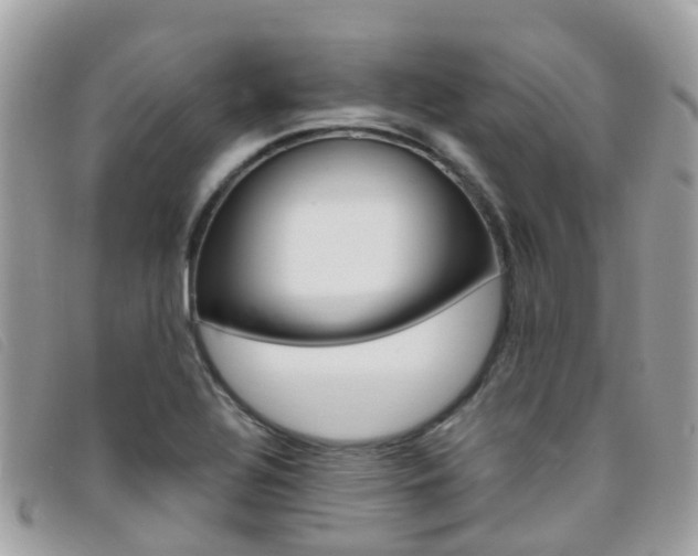 X0000095911320200801110818