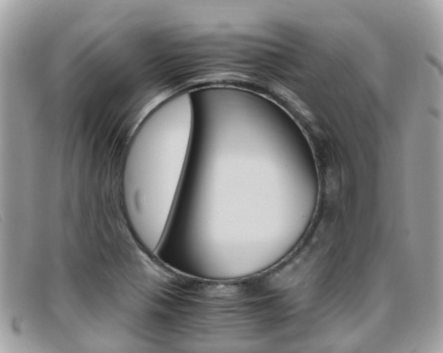 X0000095911321200801110818