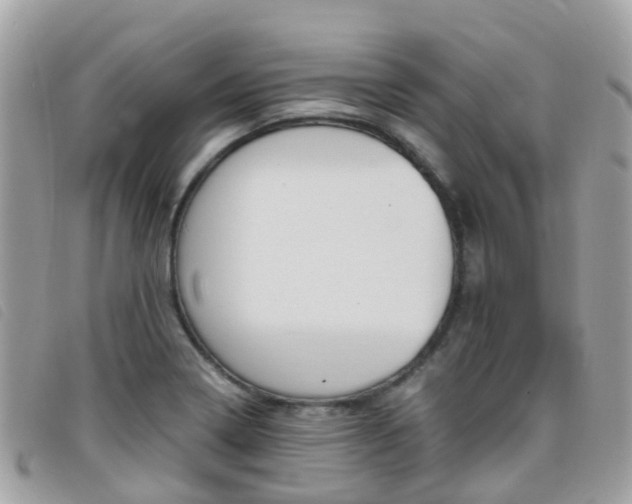 X0000095911322200801110818