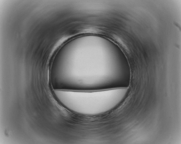 X0000095911323200801110818